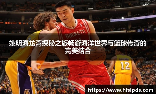 姚明海龙湾探秘之旅畅游海洋世界与篮球传奇的完美结合
